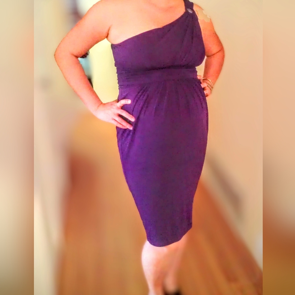 Maggy London Purple One-Shoulder Dress 6P